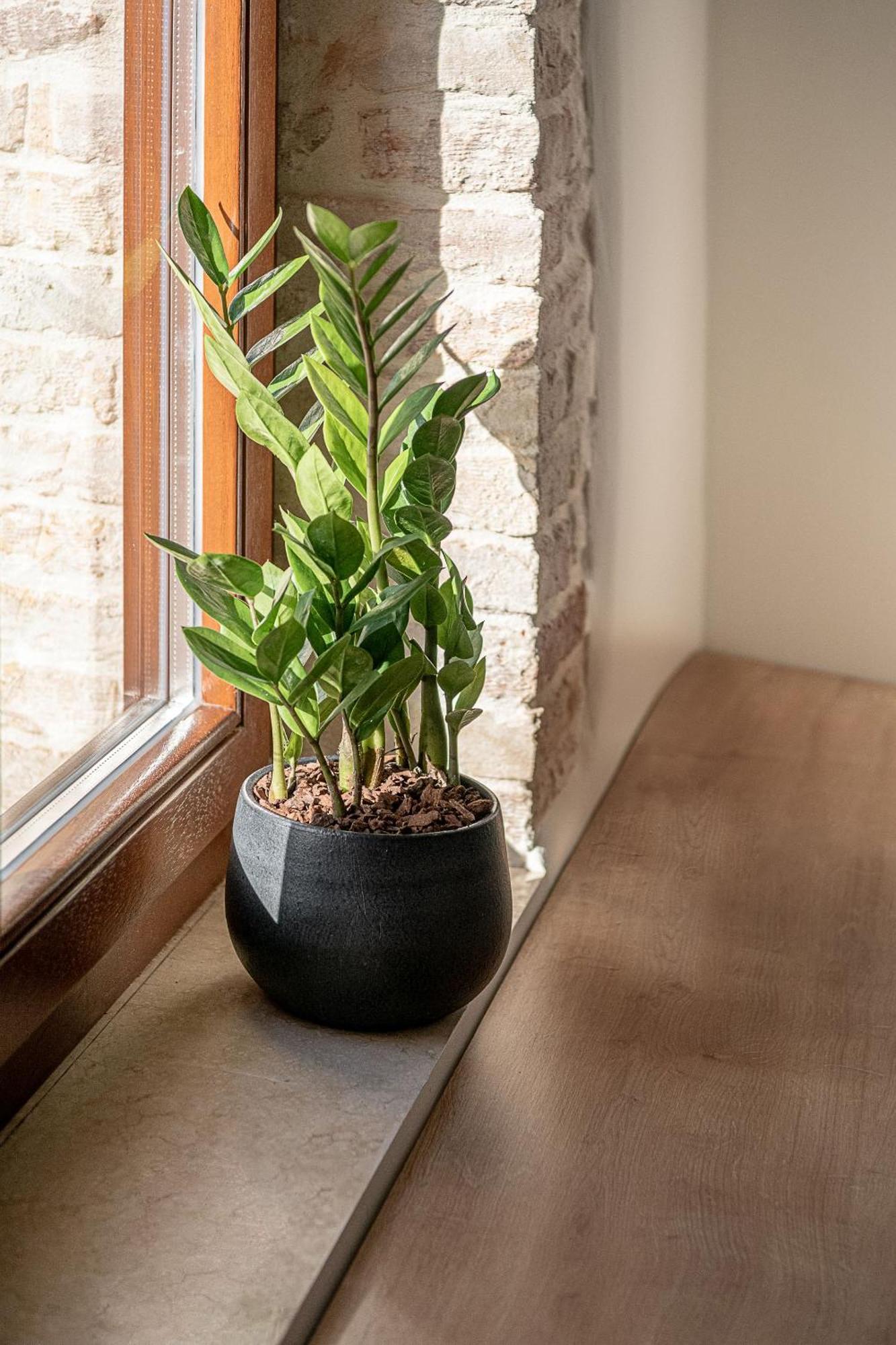 Ethos Suites Chania  Room photo